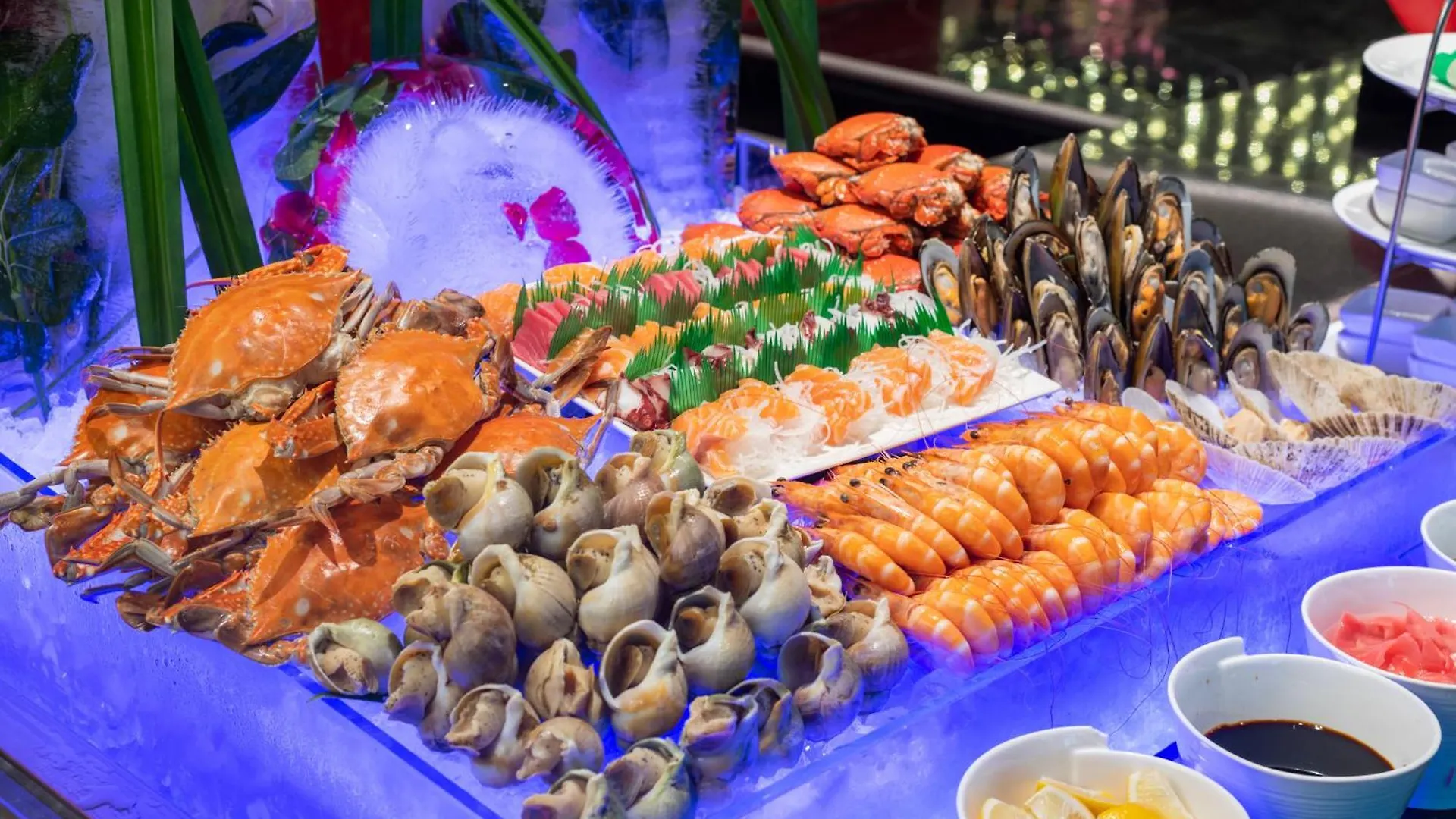 Swissotel Al Murooj Dubai